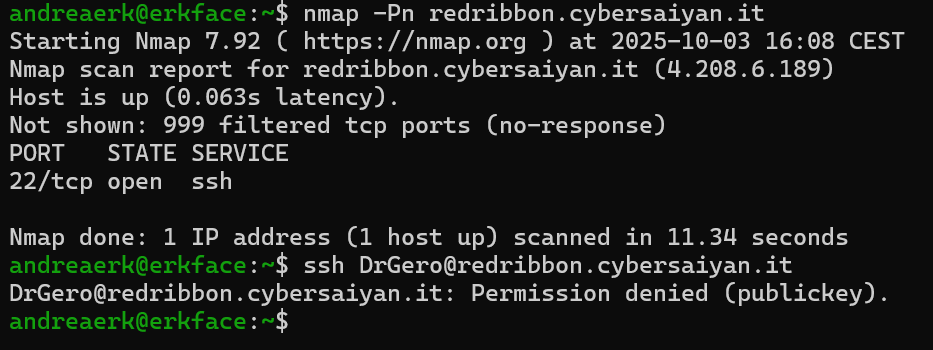 NMap of redribbon.cybersaiyan.it