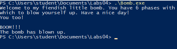 bomb-execution-1.png