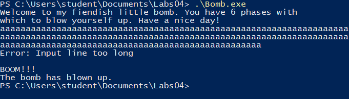 bomb-execution-2.png